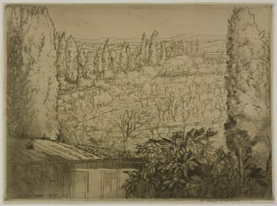 Toscana af Donald Shaw MacLaughlan