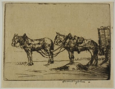 To Heste af Donald Shaw MacLaughlan