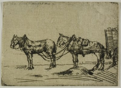 To Heste af Donald Shaw MacLaughlan
