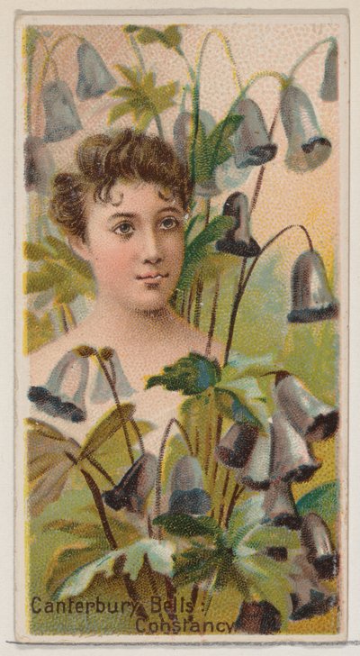 Canterbury Bells: Constancy, fra serien Floral Beauties and Language of Flowers N75..., 1892. af Donaldson Brothers