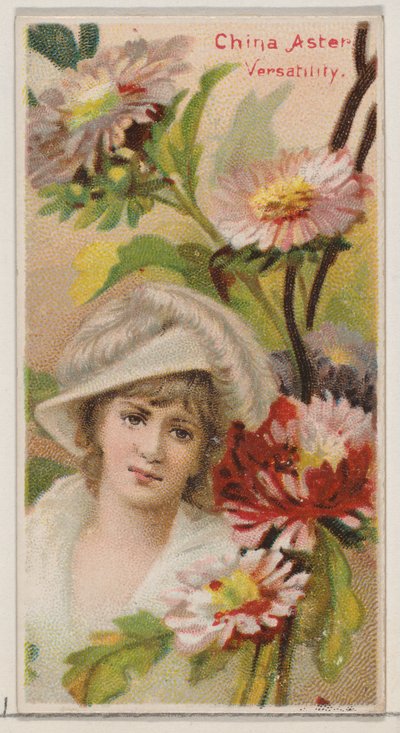China Aster: Versatility, fra serien Floral Beauties and Language of Flowers N75 fo..., 1892. af Donaldson Brothers