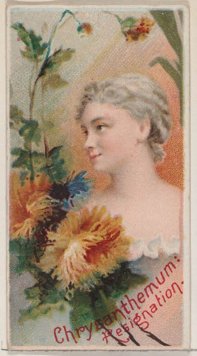 Chrysanthemum: Resignation, fra serien Floral Beauties and Language of Flowers N75 ..., 1892. af Donaldson Brothers