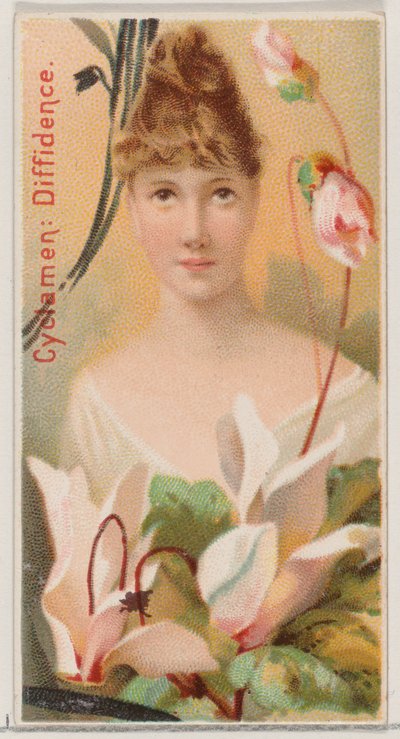 Cyclamen: Diffidence, fra serien Floral Beauties and Language of Flowers N75 for Du..., 1892. af Donaldson Brothers