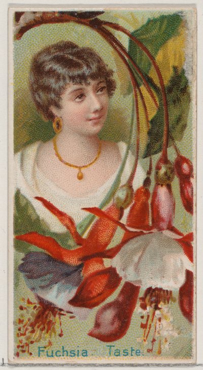 Fuchsia: Taste, fra serien Floral Beauties and Language of Flowers N75 for Duke bra..., 1892. af Donaldson Brothers