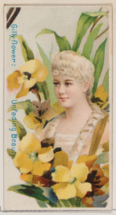 Gilly-flower: Unfading Beauty, fra serien Floral Beauties and Language of Flowers N7..., 1892. af Donaldson Brothers