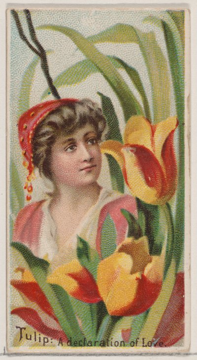 Tulip: A Declaration of Love, fra serien Floral Beauties and Language of Flowers N75..., 1892. af Donaldson Brothers