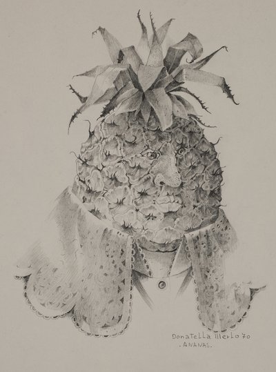 Ananas af Donatella Merlo
