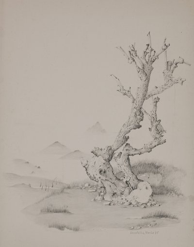 Bagagerummet af Donatella Merlo