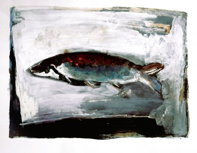 Fisk fra mørkt vand af Doris Schmitz