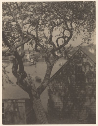 Havnescene, sandsynligvis Gloucester, Massachusetts af Doris Ulmann