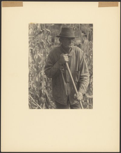 [Mand med hakke i sorghum-mark] af Doris Ulmann