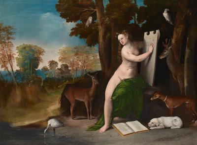  af Dosso Dossi