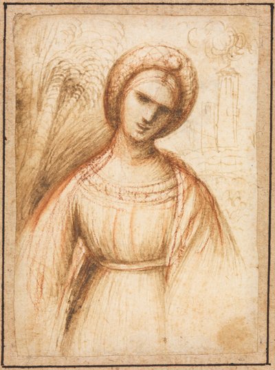 Lady in a Landscape recto, Bust-Length Profile of an Old Woman verso, ca. 1521. af Dosso Dossi
