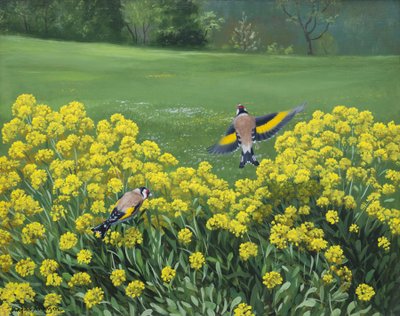Goldfinches, 2000 (olie på plade) af Douglas Anderson