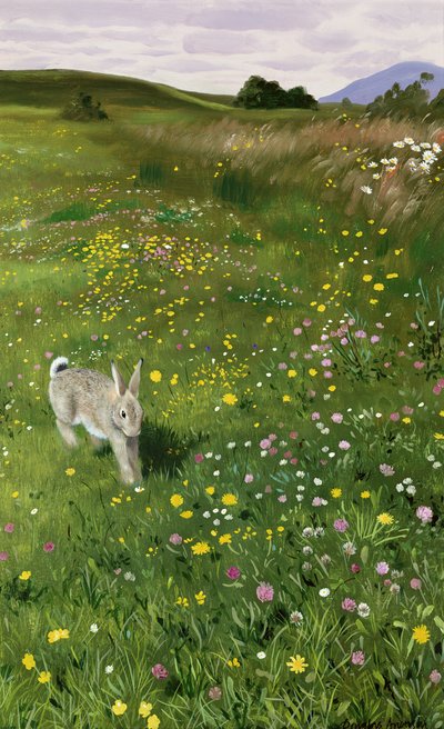 Hare i forårsblomster af Douglas Anderson