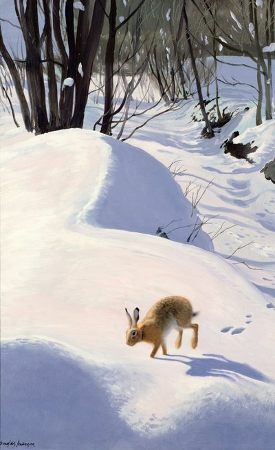 Hare i sneen af Douglas Anderson