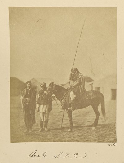 Arabere. L.T.C. af Dr. William Robertson