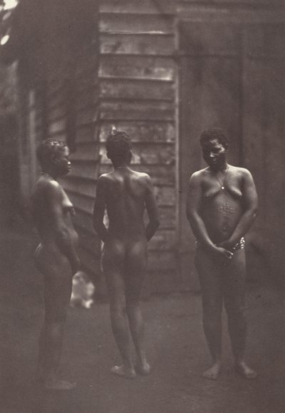 Tre madagaskiske kvinder (planche 30),1863 (foto) af Désiré Charnay