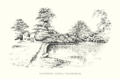 Squerryes Ponds, Westerham (litografi) af Duncan Moul