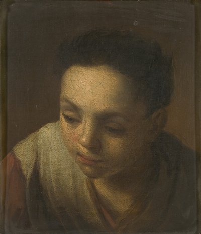 Hovedet af en pige af Dutch School
