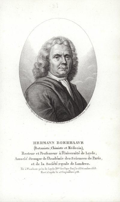 Herman Boerhaave af Dutch School