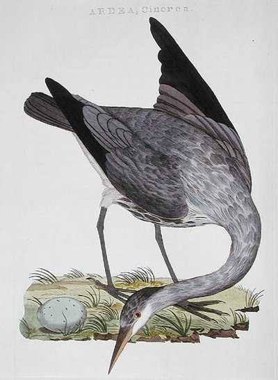 Heron, udgivet i Amsterdam af Dutch School
