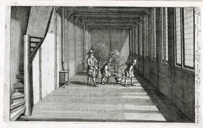 At flytte træer ind i haven til sommer, fra De Nederlandse Hesperides af Jan Commelin, udgivet 1676 af Dutch School