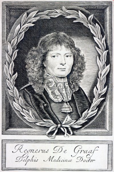 Regnier de Graaf, ca. 1670 af Dutch School