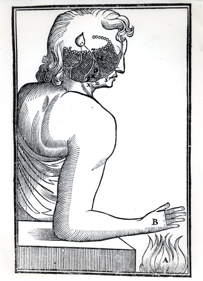 The Perception of the Senses, fra De Homine Figuris af Rene Descartes (1596-1650) udgivet i Amsterdam, 1677 af Dutch School