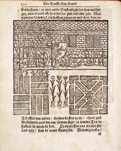 Træning og plantning i haven, fra Den hollandske gartner, af Johann van der Groen, udgivet 1699 af Dutch School