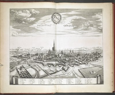 Udsigt over Strasbourg fra 