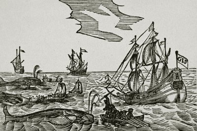 Hvalfangstskibe, fra Jacob Segersz van der Brugges 