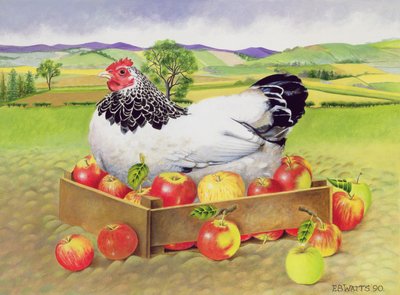 Hen in a Box of Apples, 1990 (akryl) af E.B. Watts
