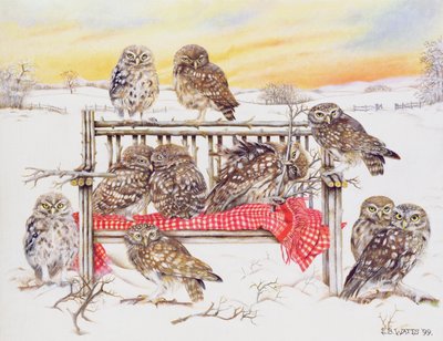 Små ugler på kvistbænk, 1999 (akryl på lærred) af E.B. Watts