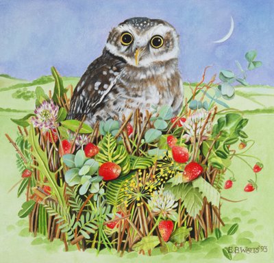 Owl in a Woodland Basket, 1993 (akryl) af E.B. Watts