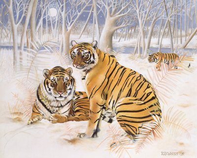 Tigers in the Snow, 2005 (akryl på lærred) af E.B. Watts