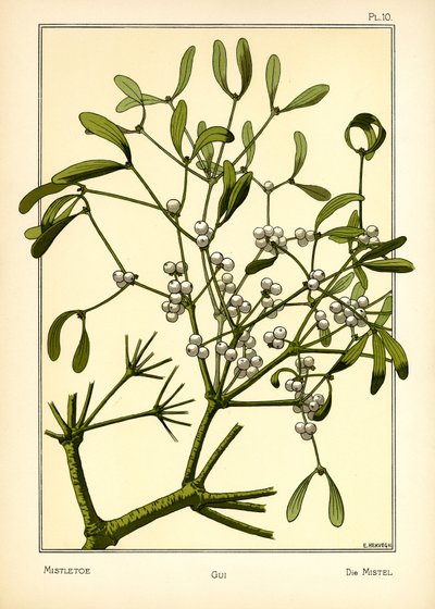 Misteltenen af E. Hervegh