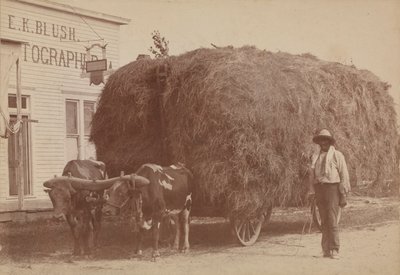 Albuminprint af en mand med fuld høvogn, 1894-1904. af E. K. Blush