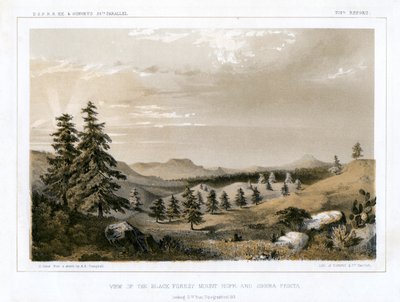 Schwarzwald Mount Hope og Sierra Prieta, USA, 1856. af E Stout