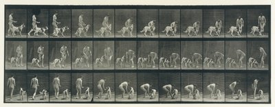 Dyrebevægelse. En elektrofotografisk undersøgelse af på hinanden følgende faser af dyr ..., 1880