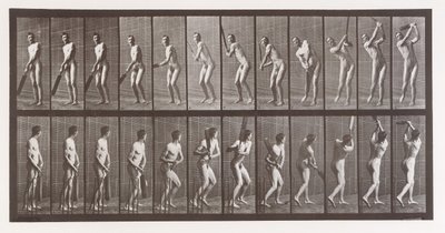 Dyrebevægelse. En elektrofotografisk undersøgelse af på hinanden følgende faser af dyr ..., 1880