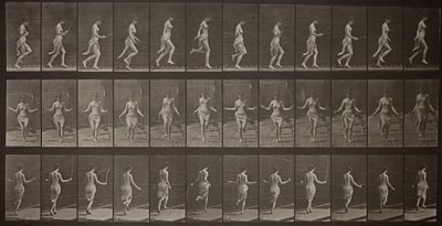 Dyrebevægelser, tavle 174, 1887. af Eadweard Muybridge