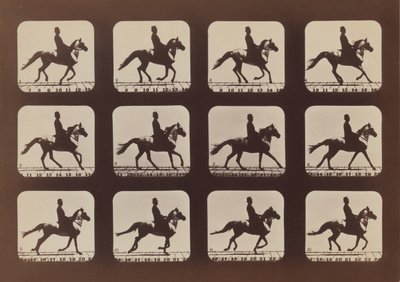 Attitudes of Animals in Motion, 1879, trykt 1881. af Eadweard Muybridge