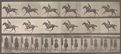 [Hest og rytter galoperende], 1883-86, trykt 1887. af Eadweard Muybridge