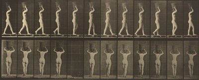 Plade nummer 34. Går og bærer en 15-lb. kurv på hovedet, hævede hænder, 1887. af Eadweard Muybridge