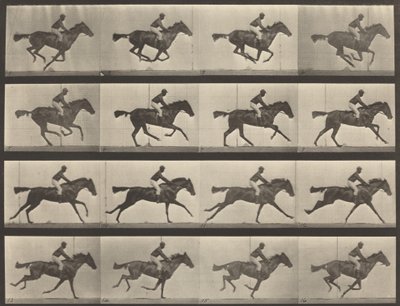 Pladenummer 626. Galop, fuldblods bayhoppe, Annie G., 1887. af Eadweard Muybridge