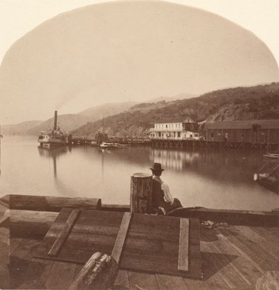 Sausalito fra N.P.C.R.R. Wharf, ser mod syd, ca. 1868. af Eadweard Muybridge