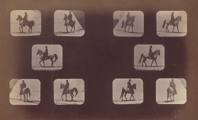 Studier af Forkortelser. Heste. Gåture. Mahomet. nr. 119-120, 1879. af Eadweard Muybridge