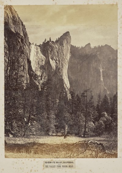 Yo-Sem-i-te Valley, Californien. Dalen fra Pohono Meadows af Eadweard J. Muybridge