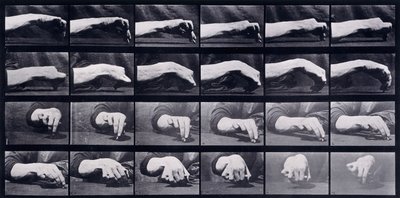 A Motion Study of a Hand, c.1872-1885 af Eadweard Muybridge
